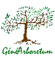 genearboretum